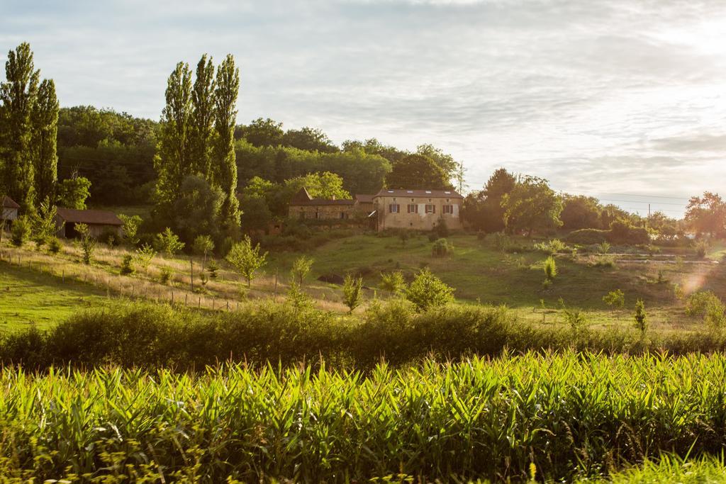 La Ferme De Cagnolle Bed & Breakfast Saint-Amand-de-Belves Dış mekan fotoğraf