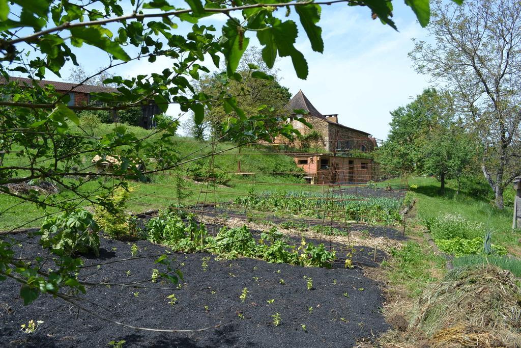 La Ferme De Cagnolle Bed & Breakfast Saint-Amand-de-Belves Dış mekan fotoğraf